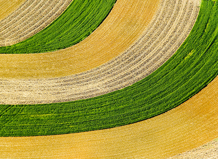 Amish Farms, © Julia Robertson