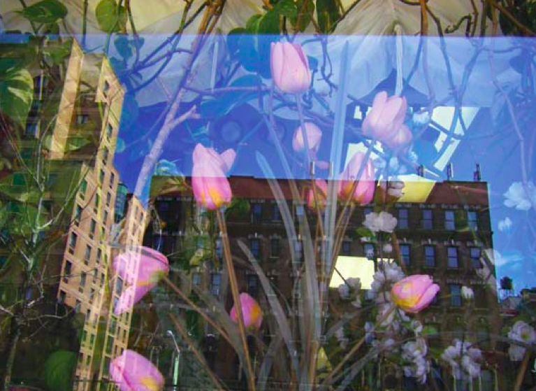 Imprints: Fall/Winter 2010 - Flowers and Reflections
