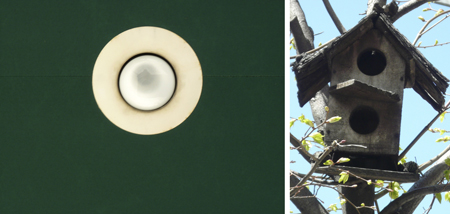 birdhouse_abstract450 Lightbulb and Birdhouse by PWP-WIN Students