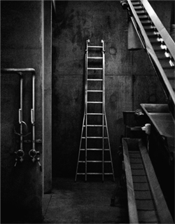 Ann_George_Ladder250 © Ann George
