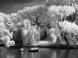 Central Park Boaters Central Park Boaters © Gail Dohrmann