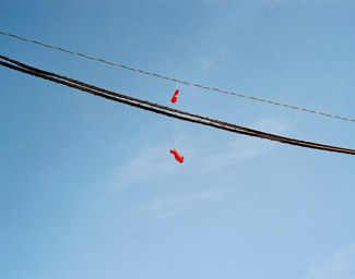 Daydream #14 ©Rachel Barrett Daydream #14 ©Rachel Barrett