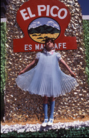 AL_Book_Pic_for_Flyer ©Arlene Gottfried