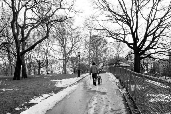 Luis Montalvan walking with Tuesday ©Leslie Granda-Hill