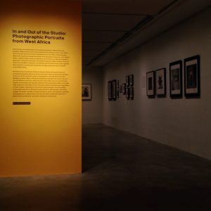 ©Donna Rocco photo 1