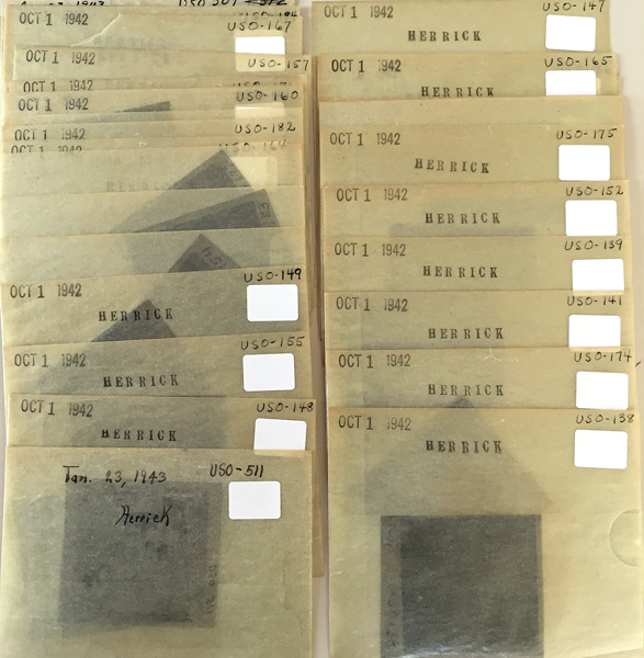 Herrick Foundation Negatives