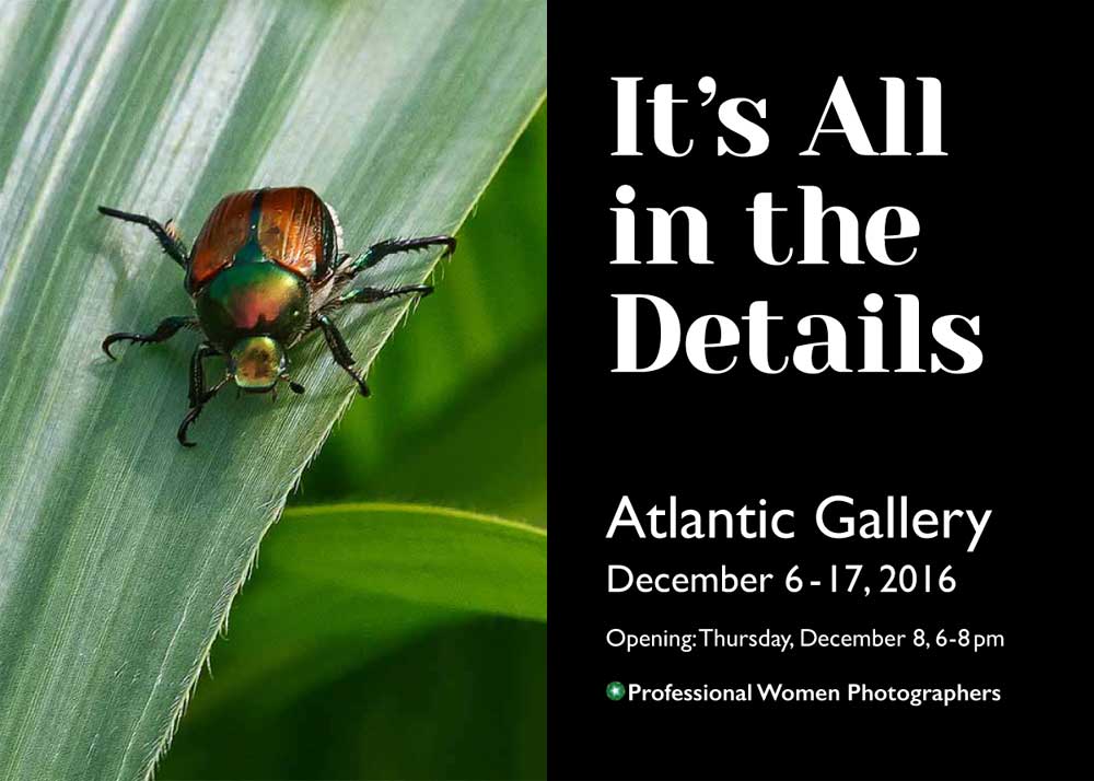 All_In_the_Details_Card