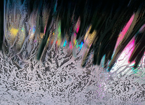 In the Carwash #5 by Rain Bengis